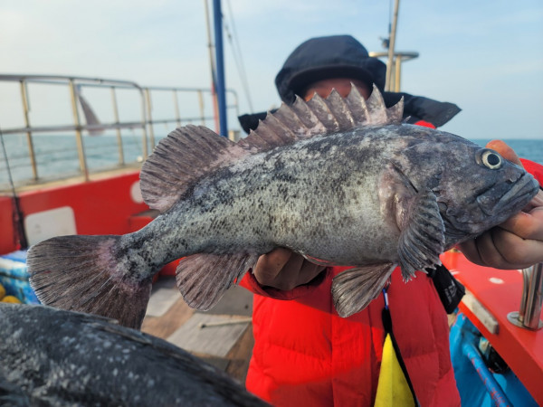 군산 선상낚시, 바다낚시 출조 전문 ☆서군산낚시☆_사진_20251210_12.jpg