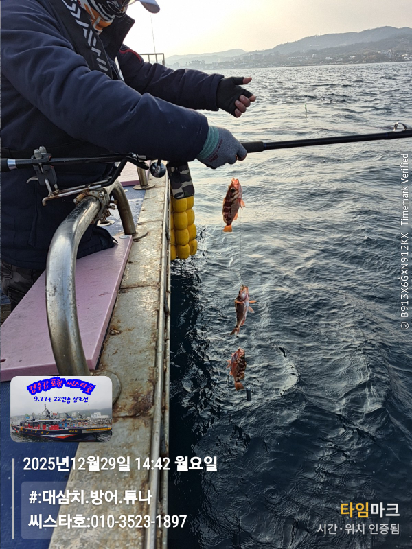 2025-12-29 14.42.56__(#-대삼치.방어.튜나)_(씨스타호-010-3523-1897).jpg