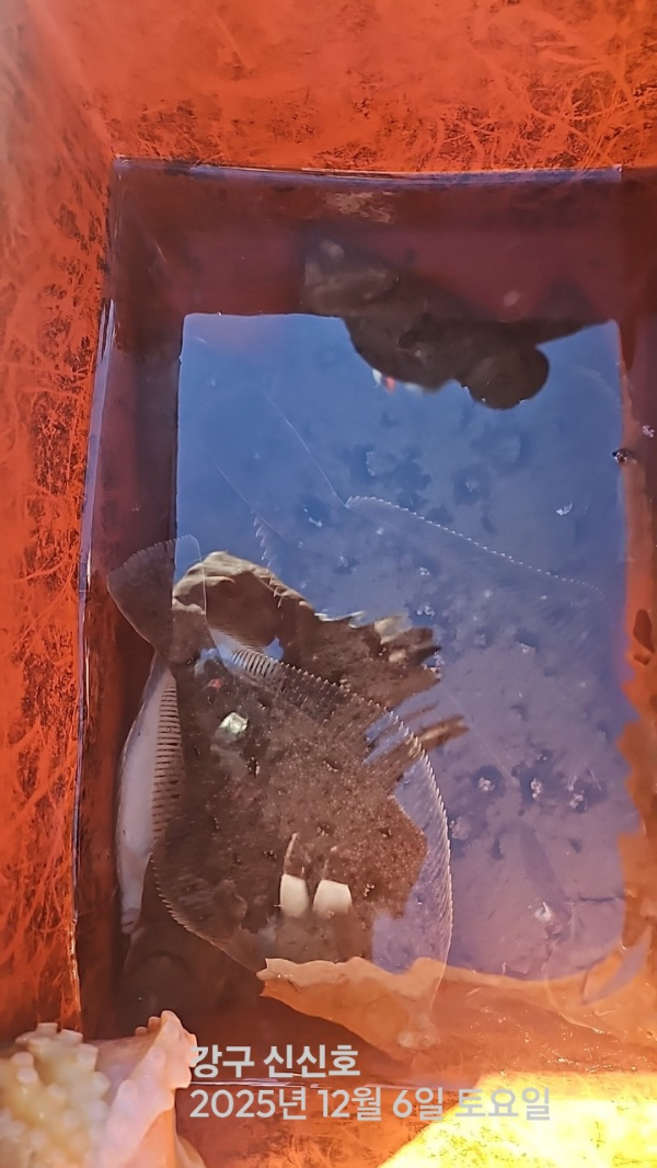 신신낚시 강구점 신신호_사진_20251206_2.jpg