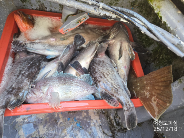 최강피싱 063.463.0800_사진_20251219_39.jpg