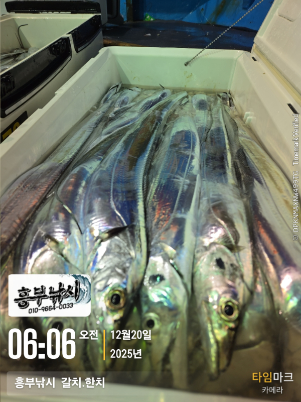 2025-12-20 06.06.03__(-흥부낚시  갈치.한치).jpg