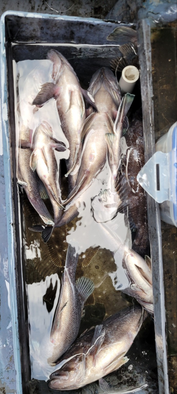 예지퀸호 농어외수질&어초낚시 경기인천권_사진_20251129_4.jpg