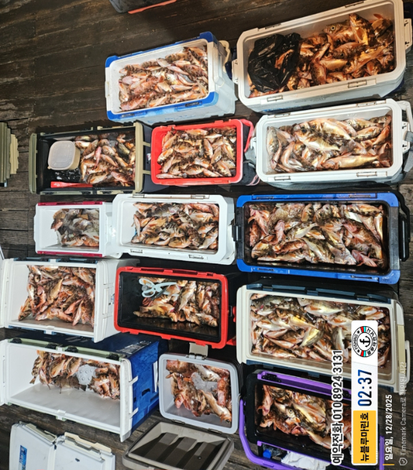 2025-12-28 02.37.10_대한민국_(제목-뉴블루마린호)_(예약전화 010 8924 3131).jpg