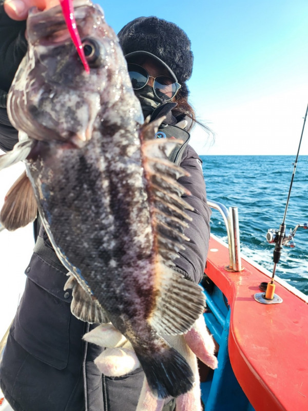 군산 선상낚시, 바다낚시 출조 전문 ☆서군산낚시☆_사진_20251228_6.jpg