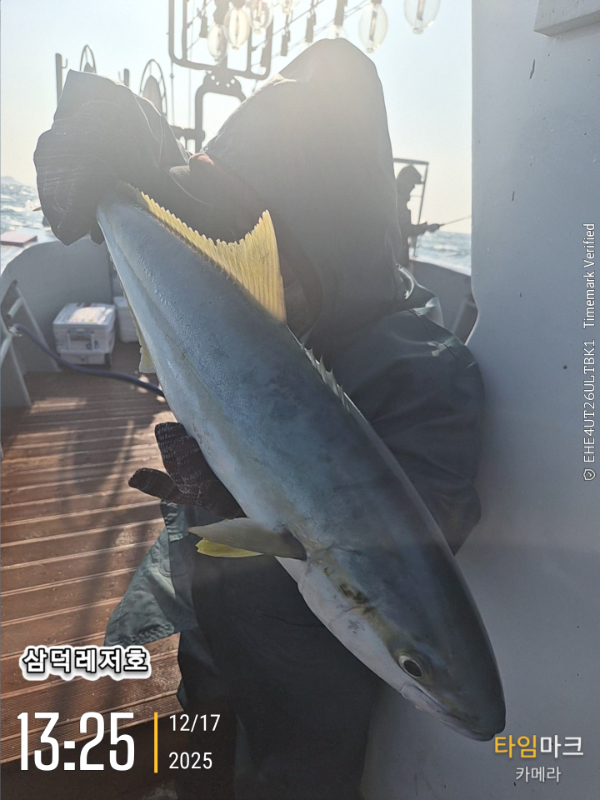 2025-12-17 13.25.08_.jpg