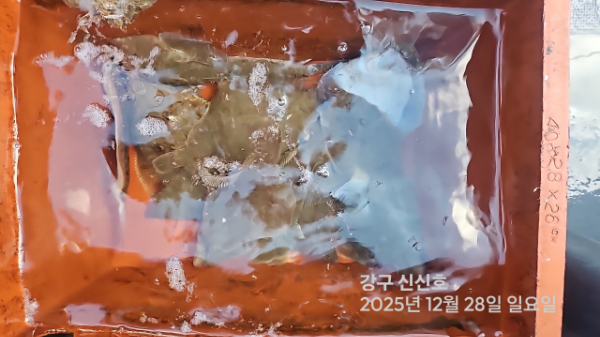 신신낚시 강구점 신신호_사진_20251228_10.jpg