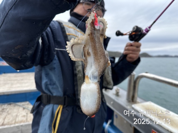 13일왕쭈꾸미.낙지 (38).jpg