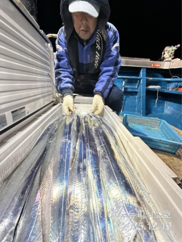 19일만쿨갈치 (6).jpg