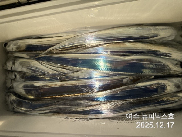 12월17일대갈치 (12).jpg