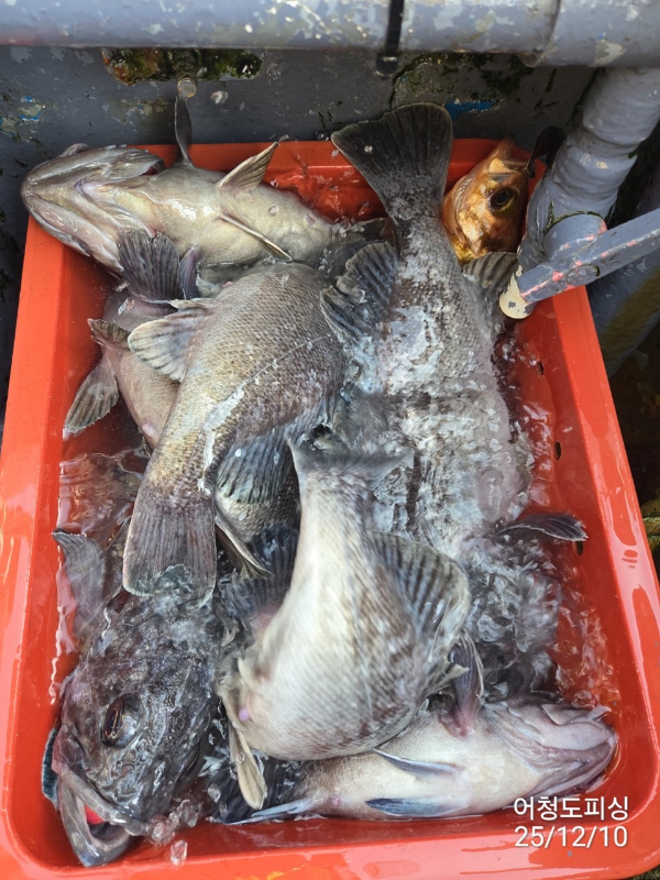 최강피싱 063.463.0800_사진_20251211_33 - 복사본.jpg