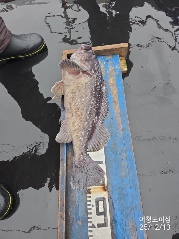 최강피싱 063.463.0800_사진_20251213_5.jpg