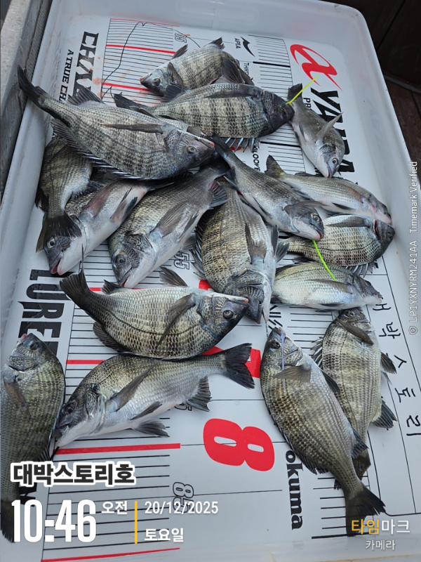 2025-12-20 10.46.15__(대박스토리호).jpg