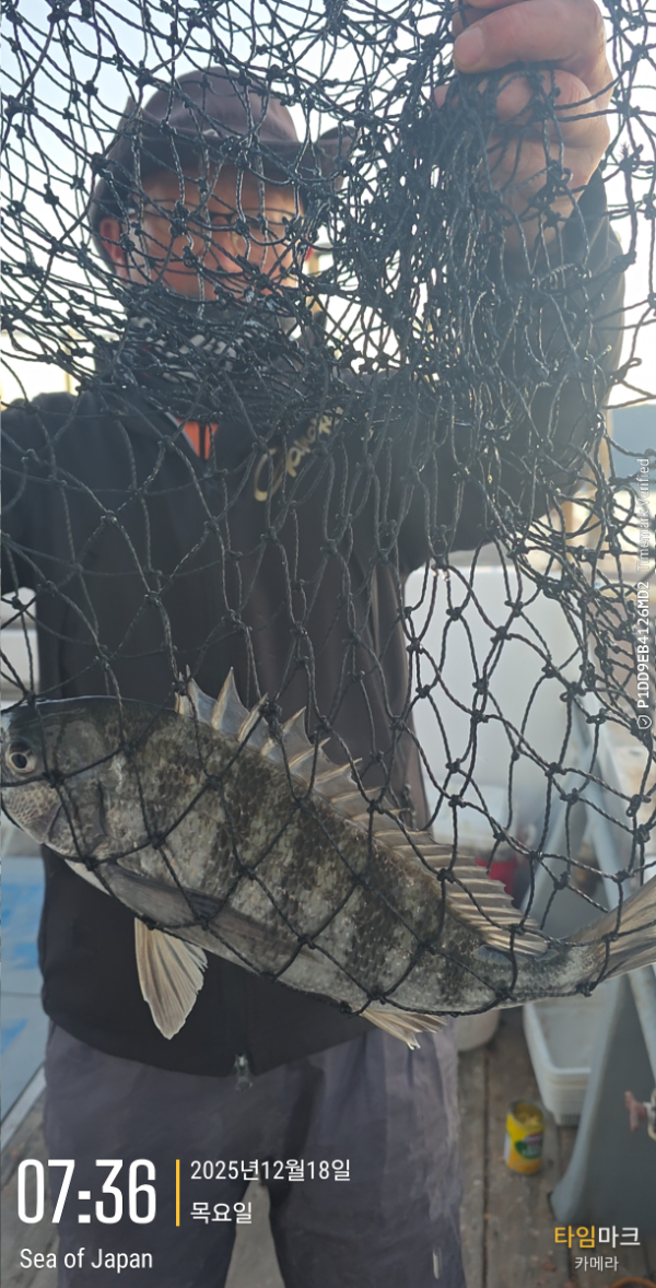 2025-12-18 07.36.36_Japan.jpg