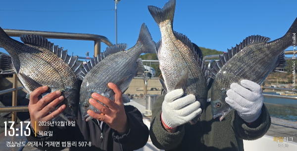 2025-12-18 13.13.05(1)_507-8, 거제면.jpg