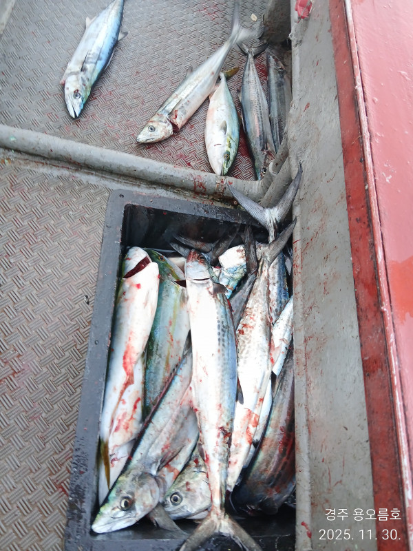 KakaoTalk_20251130_185422243_03 (1).jpg