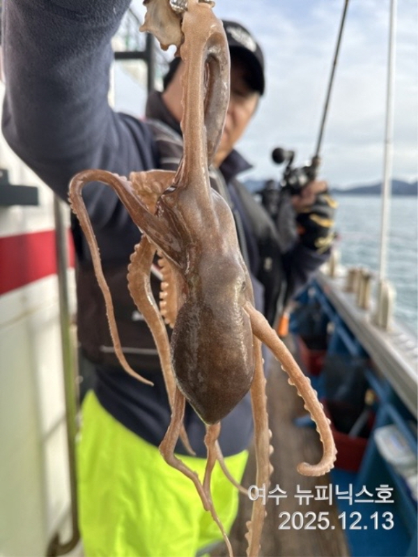 20913일왕쭈꾸미.낙지 (46).jpg