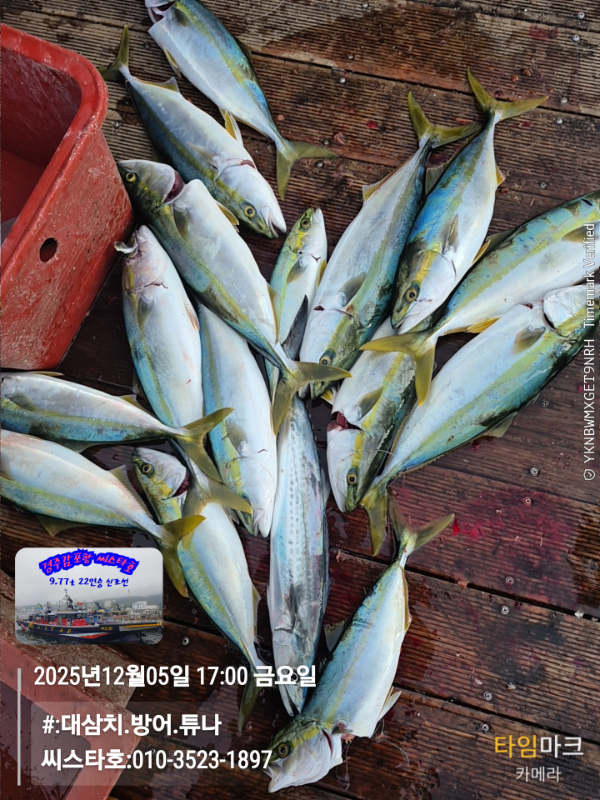 2025-12-05 17.00.06__(#-대삼치.방어.튜나)_(씨스타호-010-3523-1897).jpg