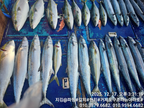 거제도 구조라  뉴아라호 (지깅, 파핑,한치,갈치,타이바라 전문)_사진_20251217_1.jpg