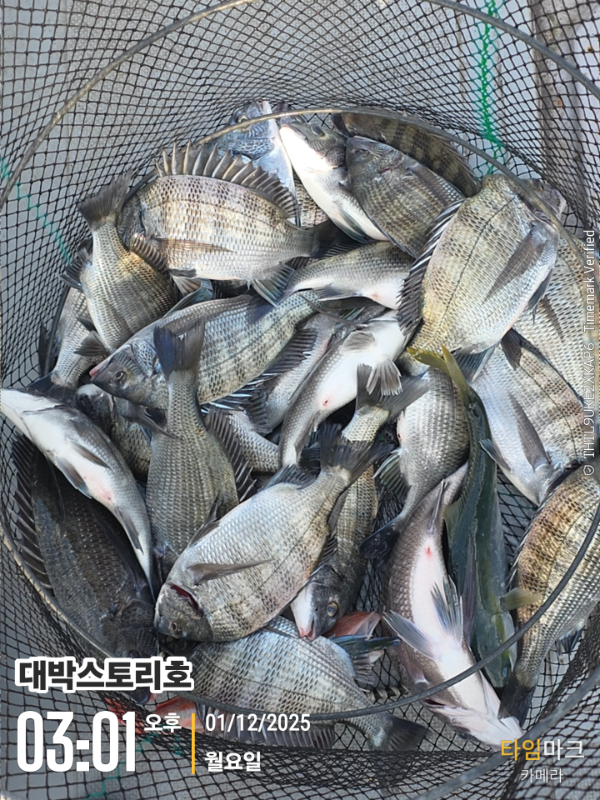 2025-12-01 03.01.43__(대박스토리호).jpg