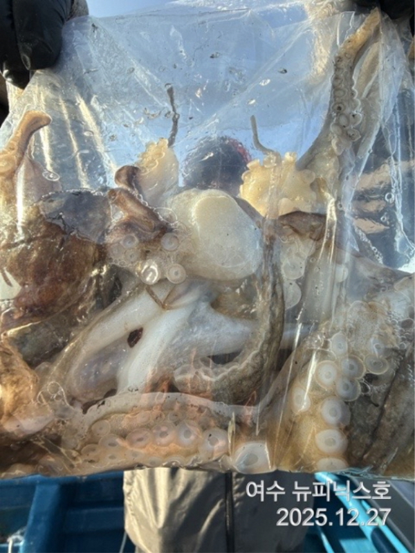 20912월27일쭈꾸미 (4).jpg