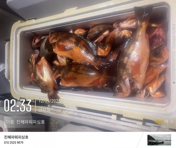 2025-12-19 02.33.49_(이름-진해파워피싱호).jpeg