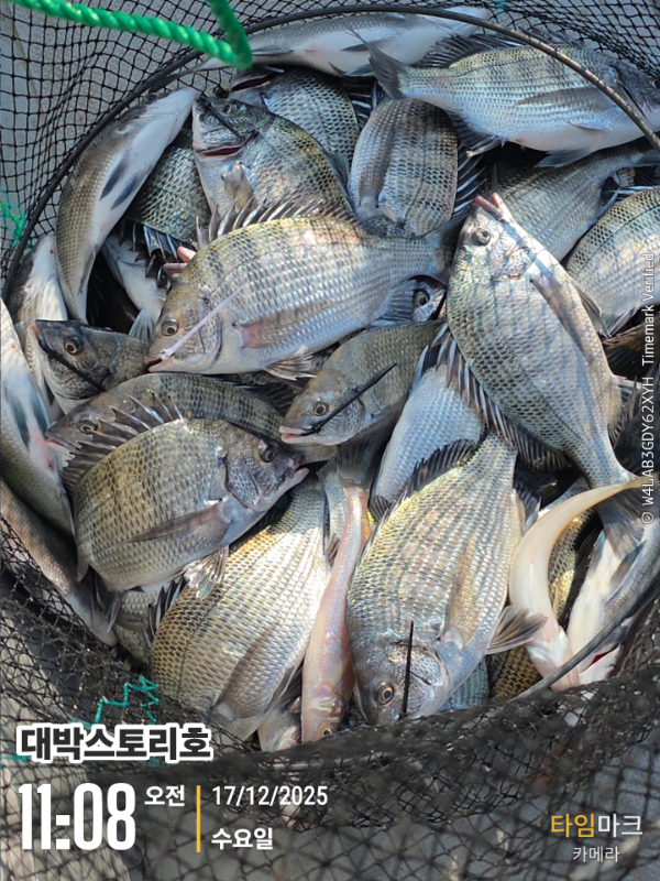 2025-12-17 11.08.32__(대박스토리호).jpg