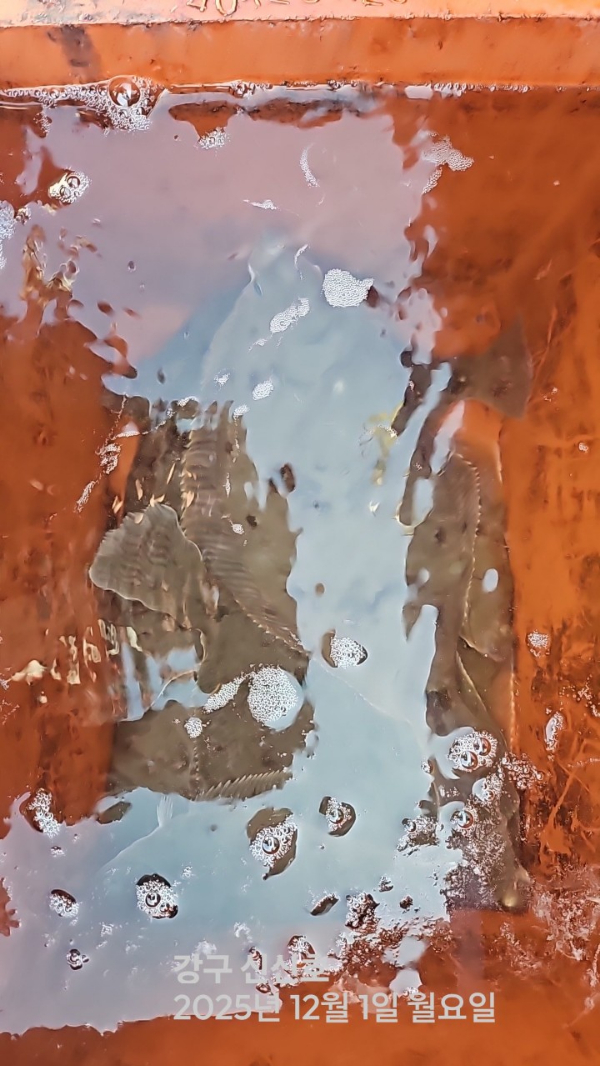 신신낚시 강구점 신신호_사진_20251201_7.jpg