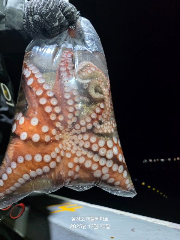 삼천포 선상낚시 더블케이호_사진_20251220_6.jpg