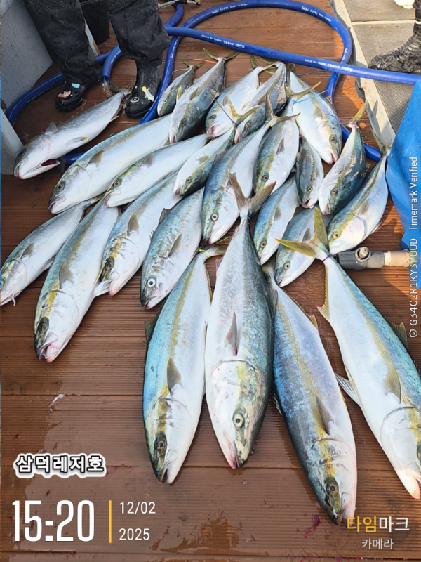 2025-12-02 15.20.07_.jpg