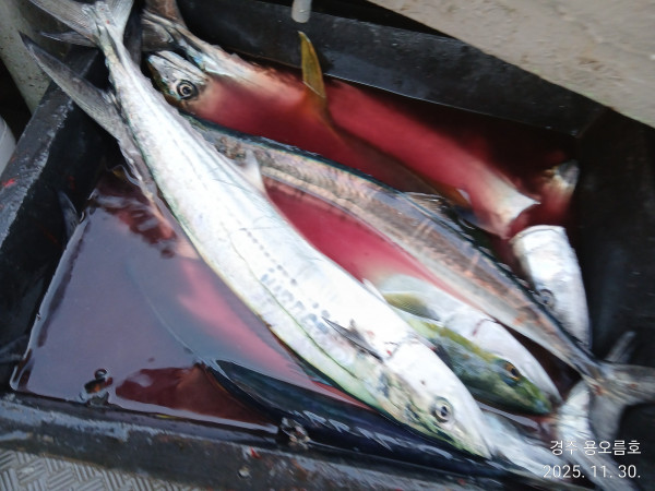 KakaoTalk_20251130_185422243_02 (1).jpg