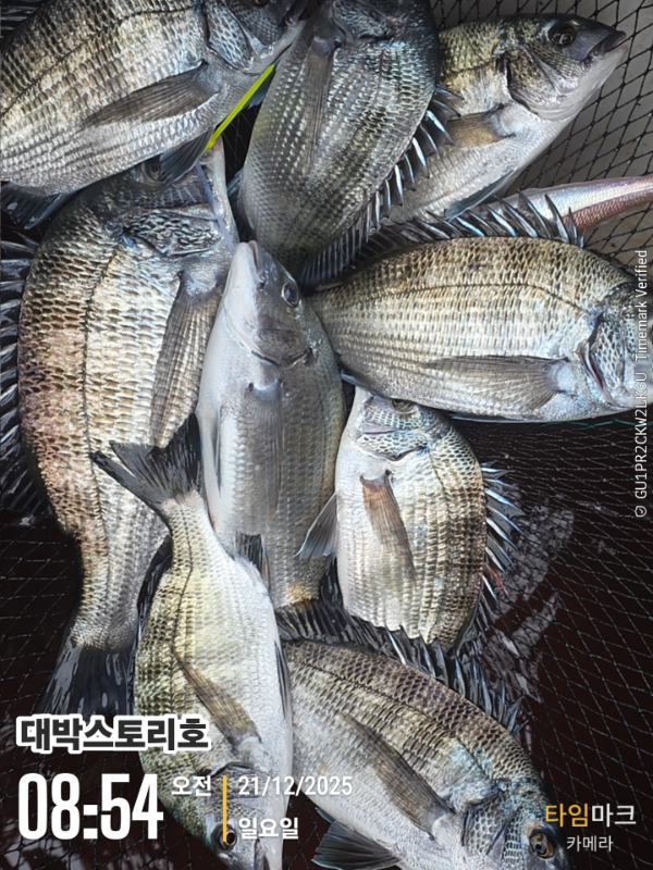 2025-12-21 08.54.57__(대박스토리호).jpg