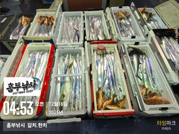 2025-12-16 04.53.48(1)__(-흥부낚시  갈치.한치).jpg
