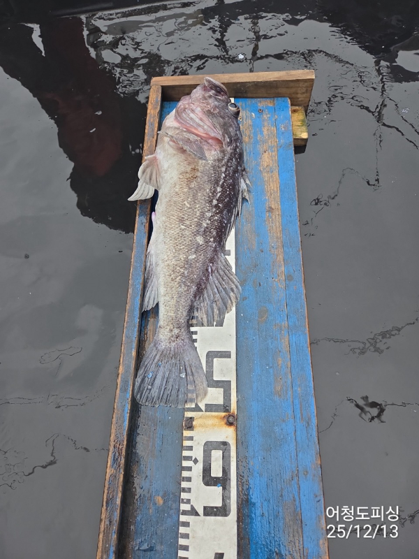 최강피싱 063.463.0800_사진_20251213_7.jpg