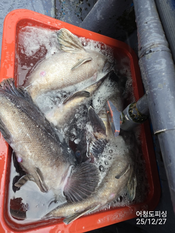 최강피싱 063.463.0800_사진_20251227_20 - 복사본.jpg