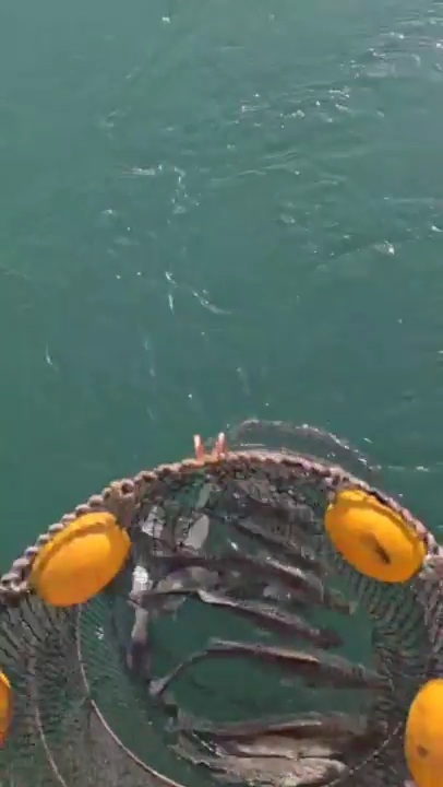 2025_12_02 19_38(4).jpg