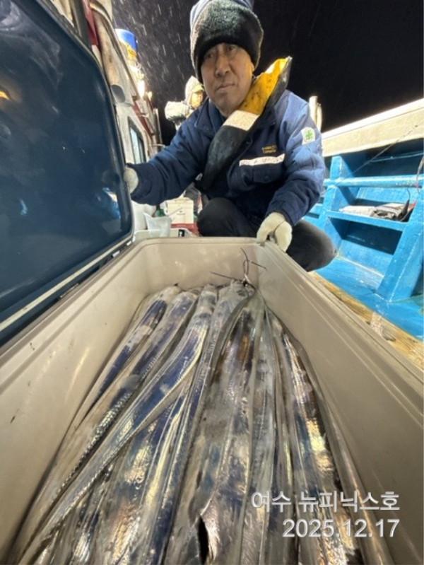 12월17일왕갈치 (1).jpg