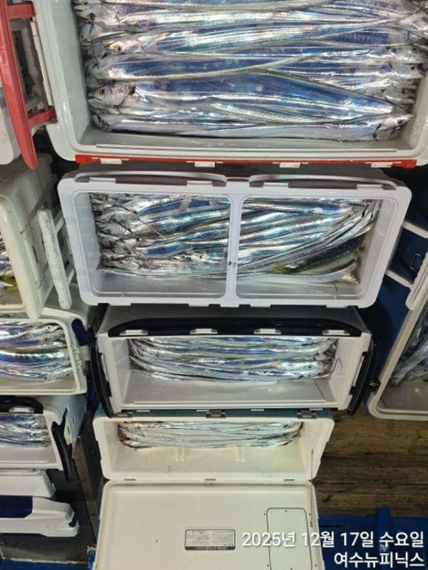 20912월17일대갈치 (53).jpg