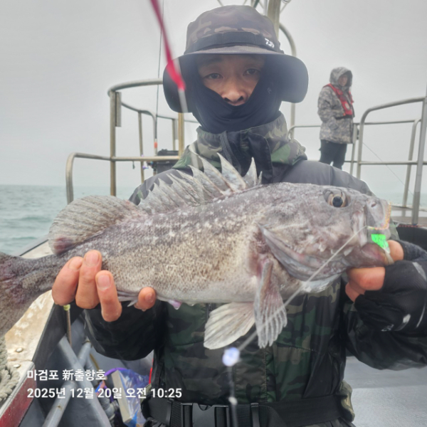 ꫛꫀꪝ✧‧˚ 태안 마검포 新출항호 .• _˚☀₊_사진_20251220_19.jpg