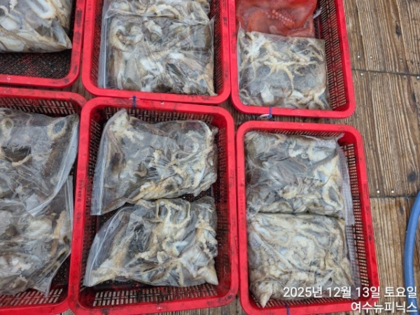 13일왕쭈꾸미.낙지 (3).jpg