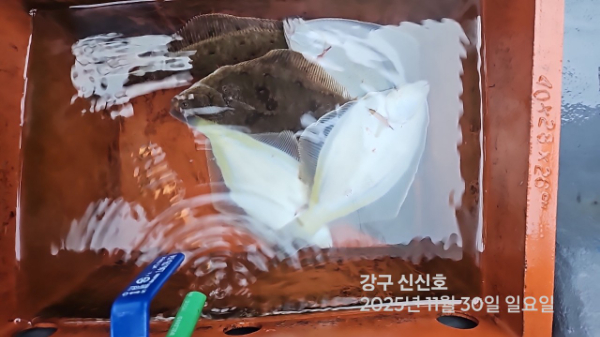 신신낚시 강구점 신신호_사진_20251130_15.jpg