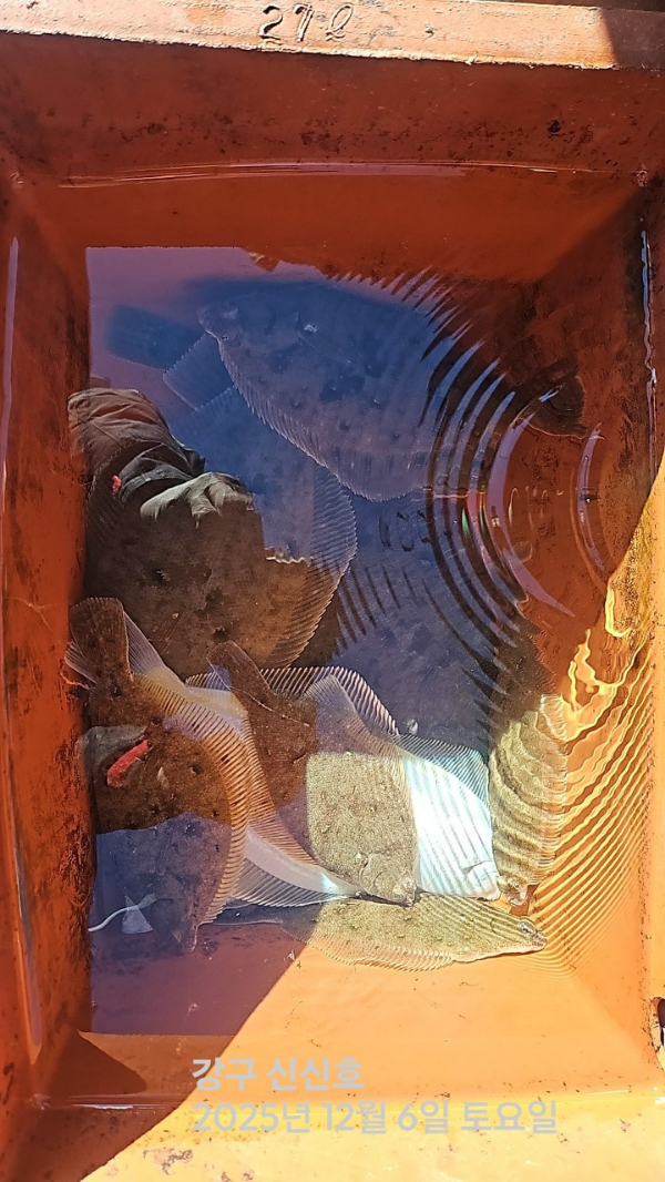 신신낚시 강구점 신신호_사진_20251206_8.jpg