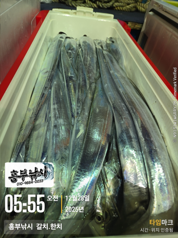 2025-12-28 05.55.03__(-흥부낚시  갈치.한치).jpg