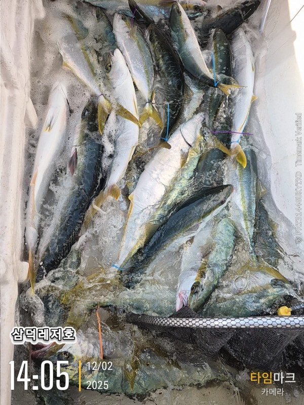 2025-12-02 14.05.36_.jpg