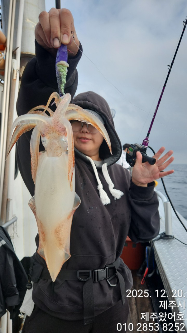 제주왔어호_사진_20251220_16.jpg