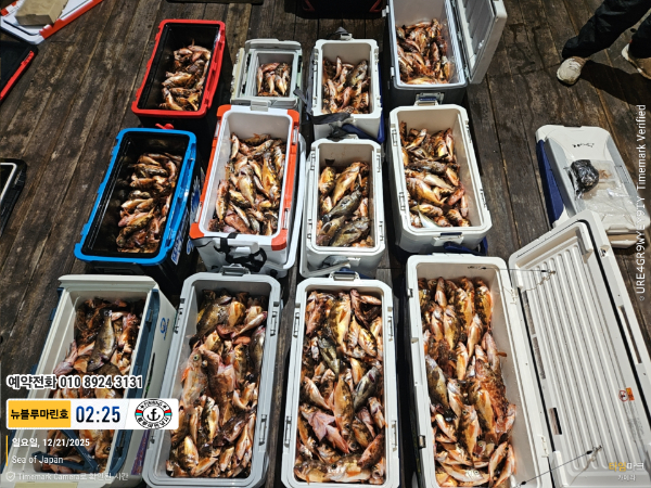 2025-12-21 02.25.22_Japan_(제목-뉴블루마린호)_(예약전화 010 8924 3131).jpg