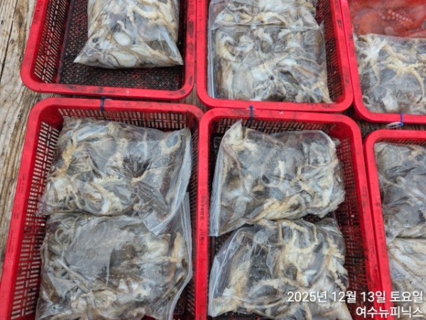 13일왕쭈꾸미.낙지 (4).jpg