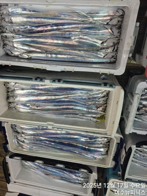 20912월17일대갈치 (54).jpg