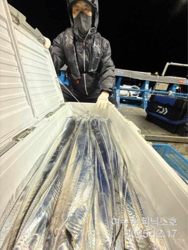 12월17일왕갈치 (8).jpg