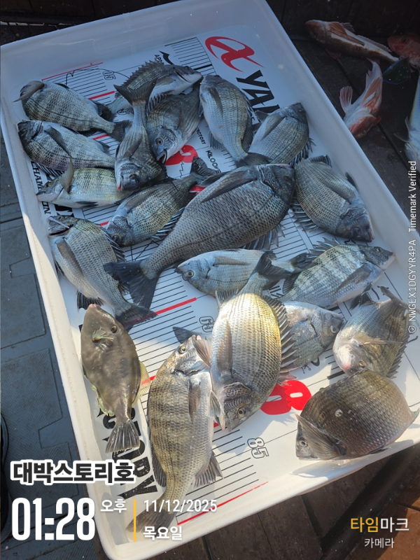 2025-12-11 01.28.54__(대박스토리호).jpg