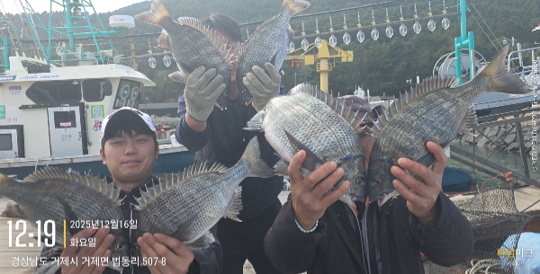 2025-12-16 12.19.56_507-8, 거제면.jpg